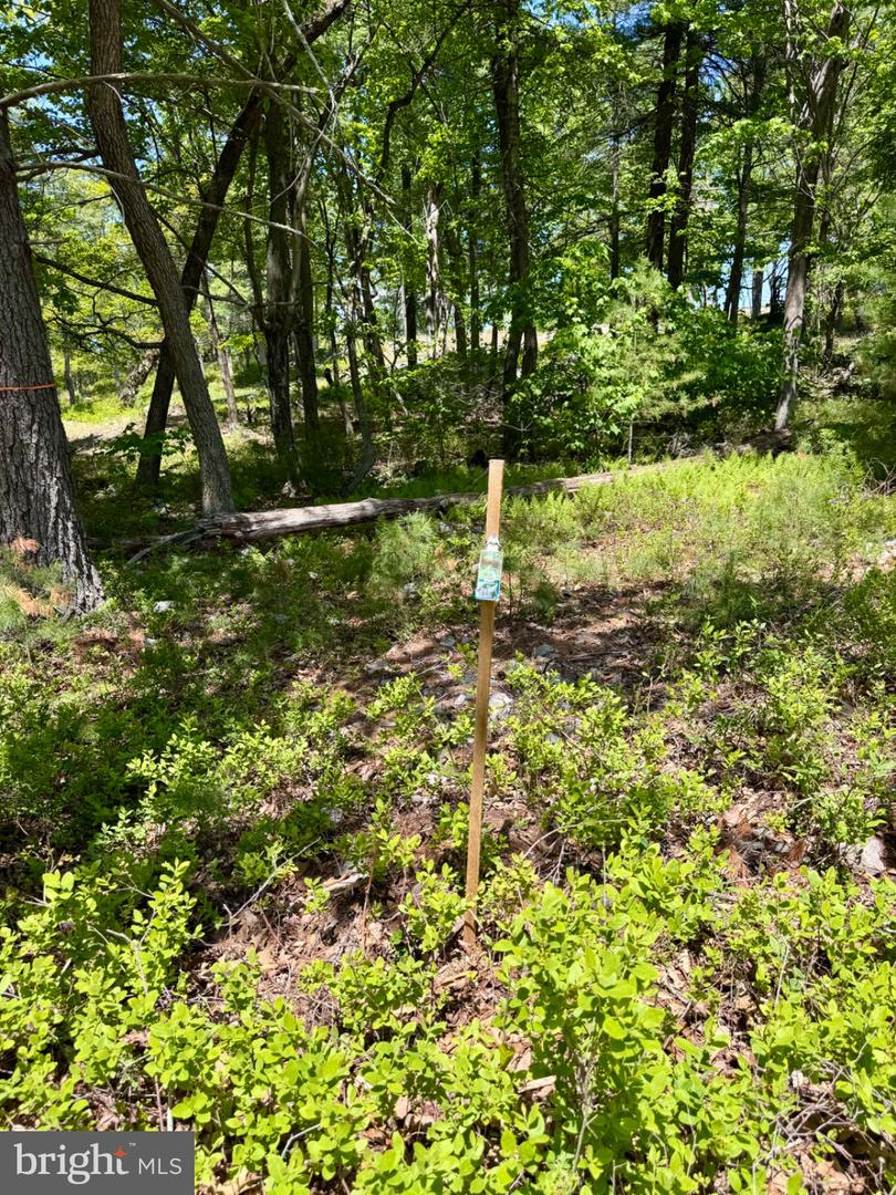 Hr10 Golf Club Dr Property Photo 11