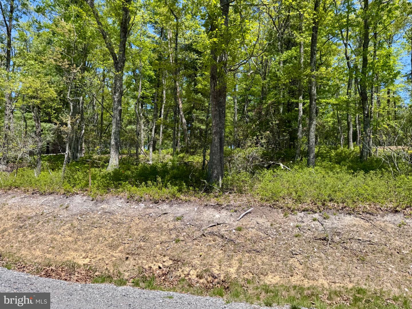Hr10 Golf Club Dr Property Photo 13