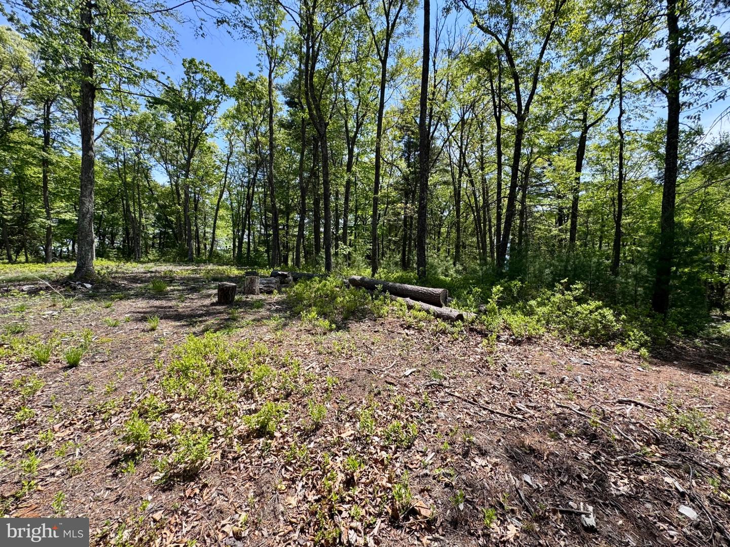 Hr10 Golf Club Dr Property Photo 15