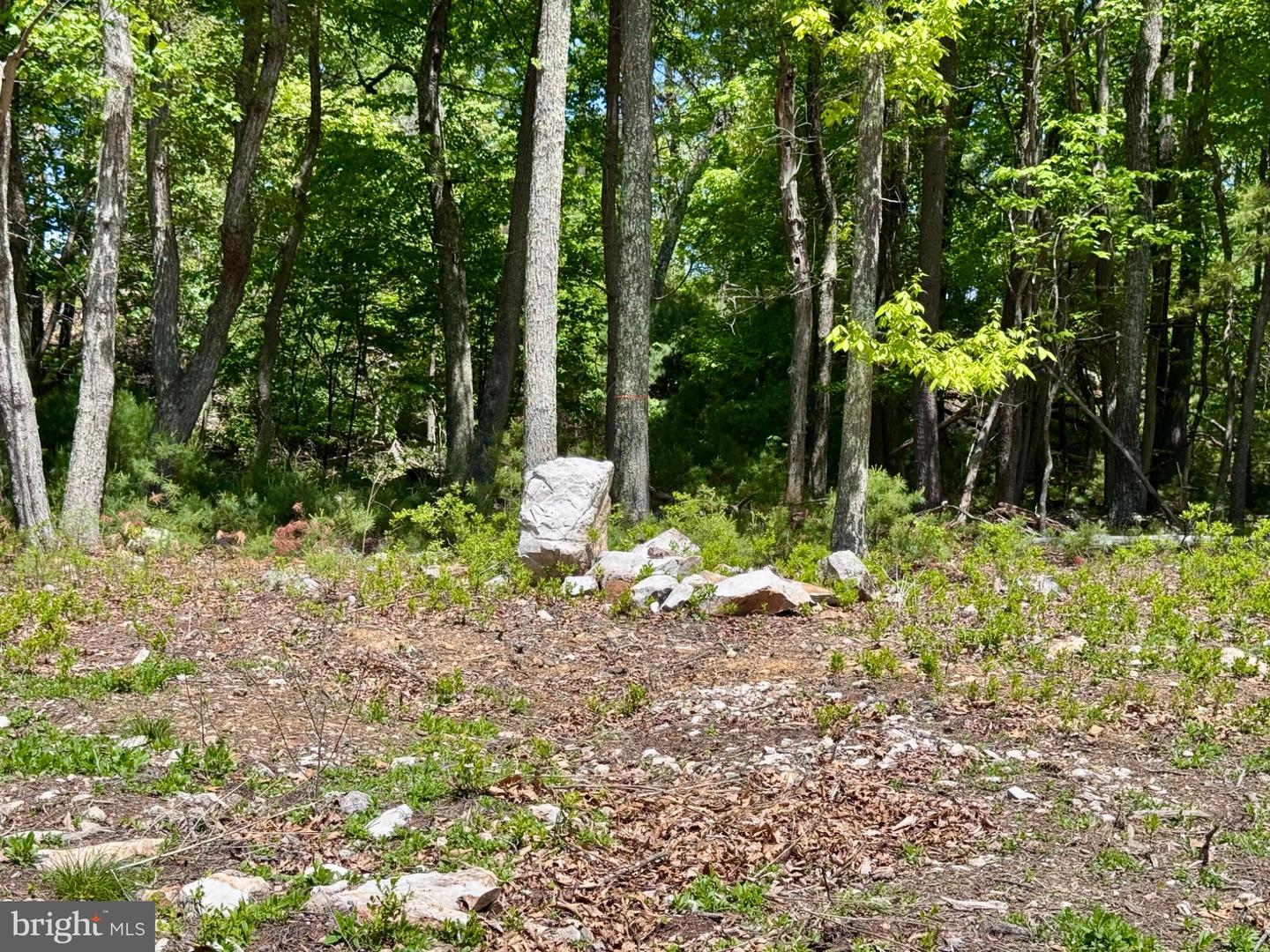 Hr10 Golf Club Dr Property Photo 17