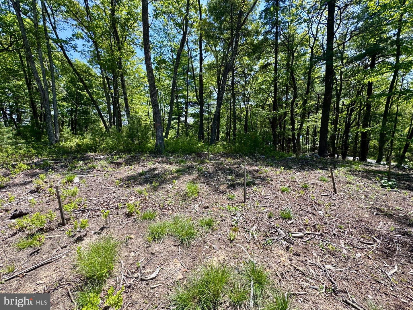 Hr10 Golf Club Dr Property Photo 19