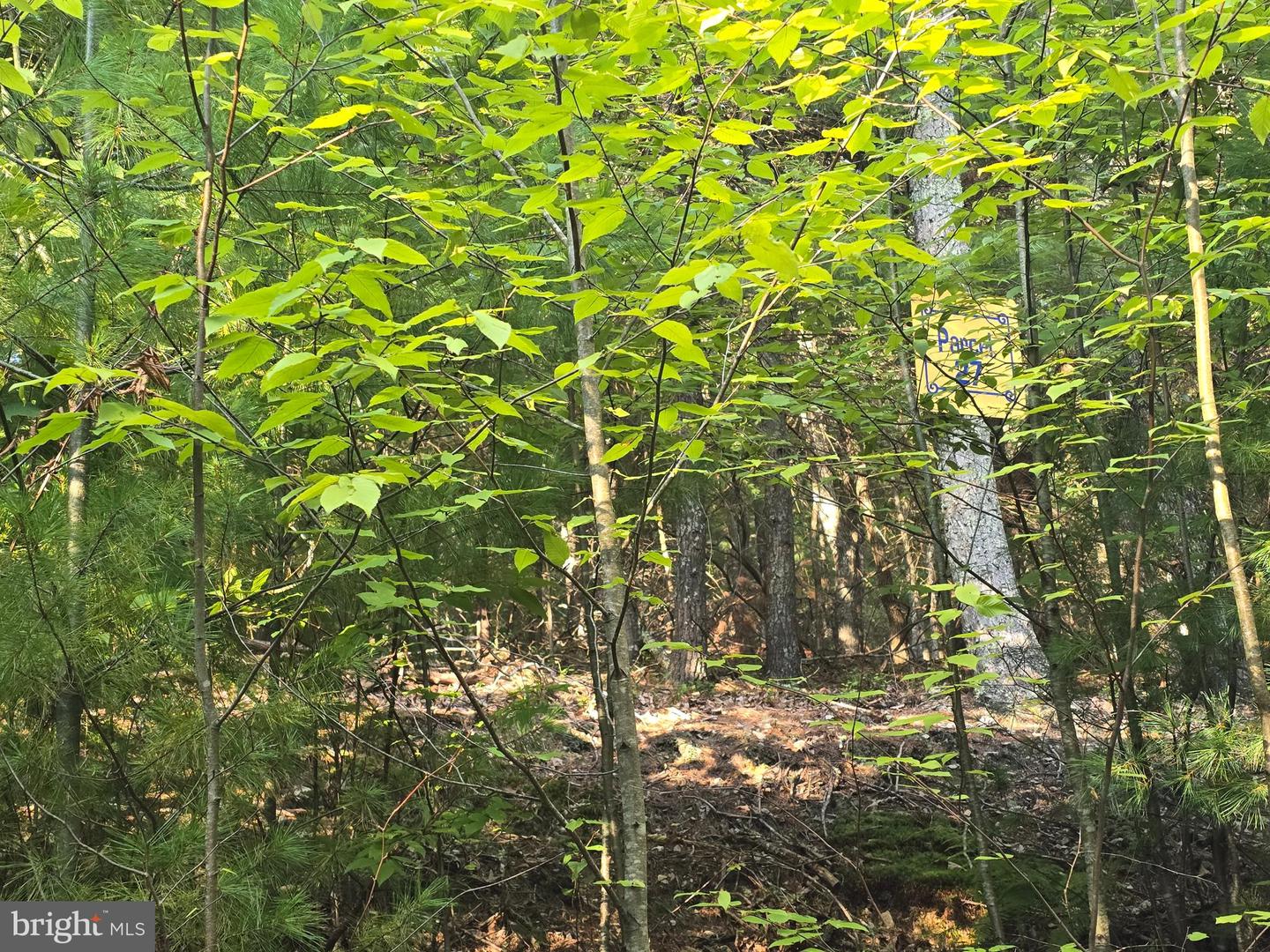 Lot 27 Native Trout Ln Property Photo 1