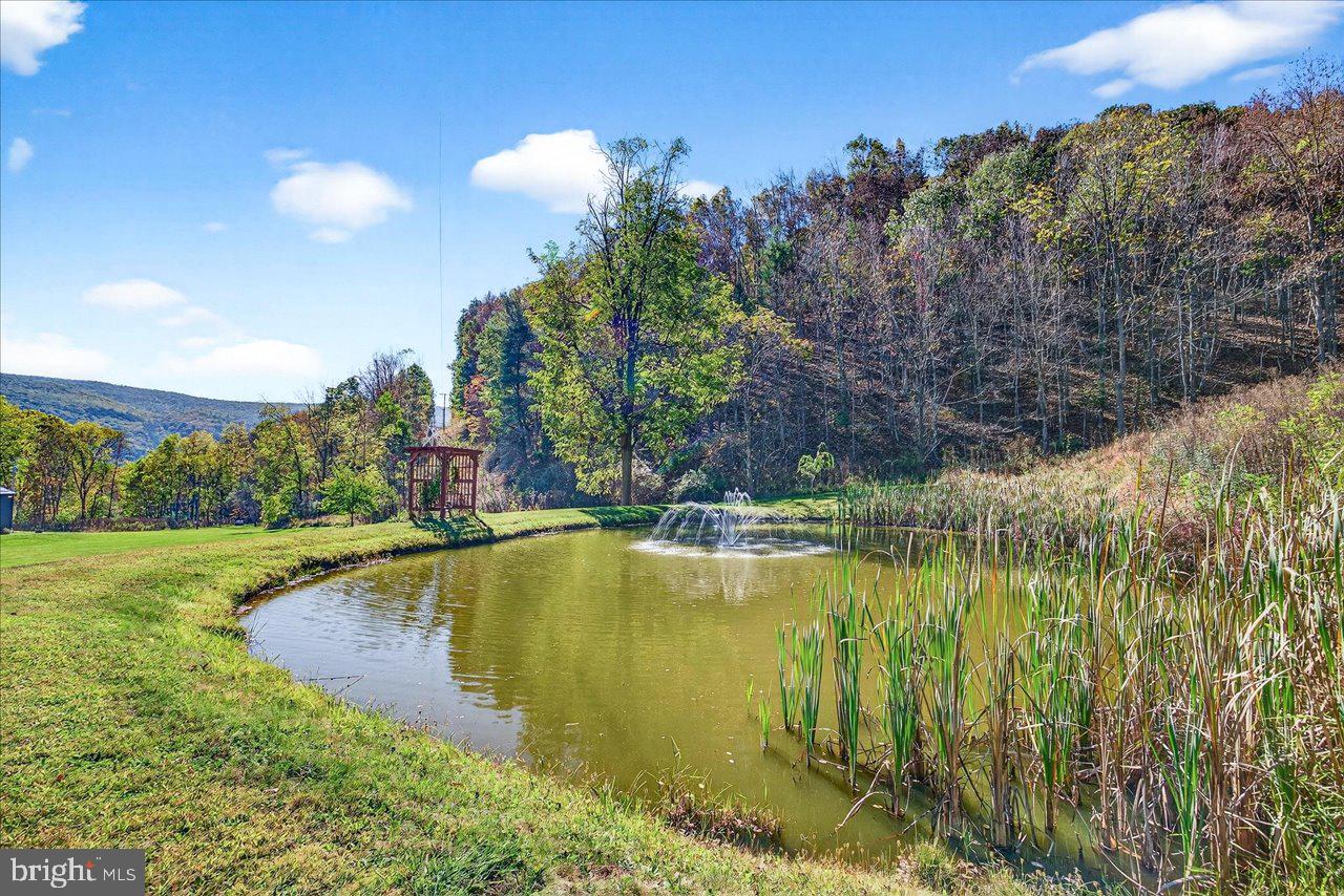 30 Polecat Hollow Blvd Property Photo 49