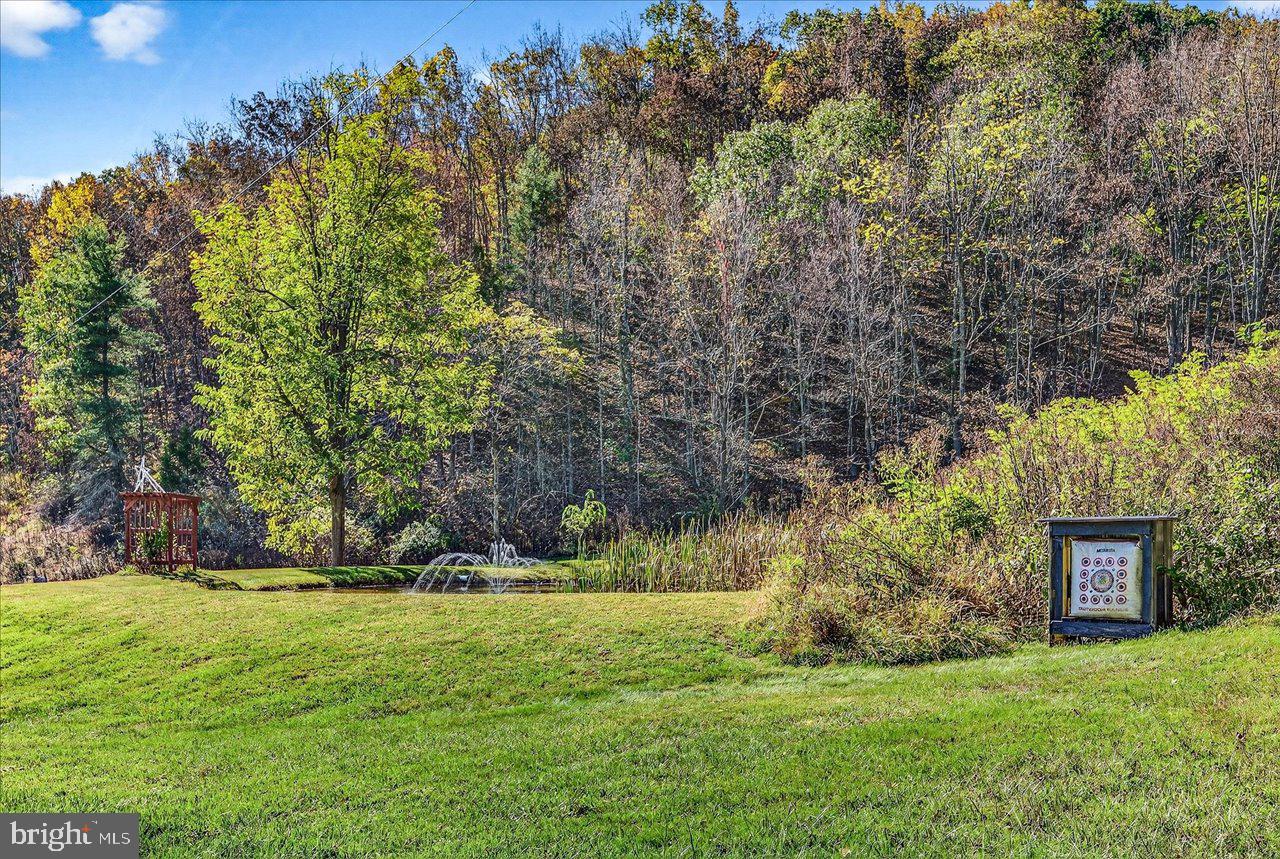 30 Polecat Hollow Blvd Property Photo 51