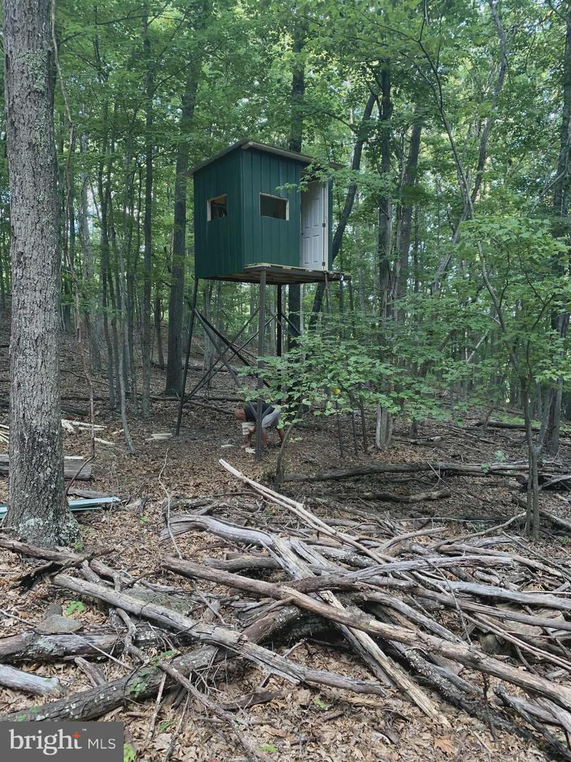 30 Polecat Hollow Blvd Property Photo 71