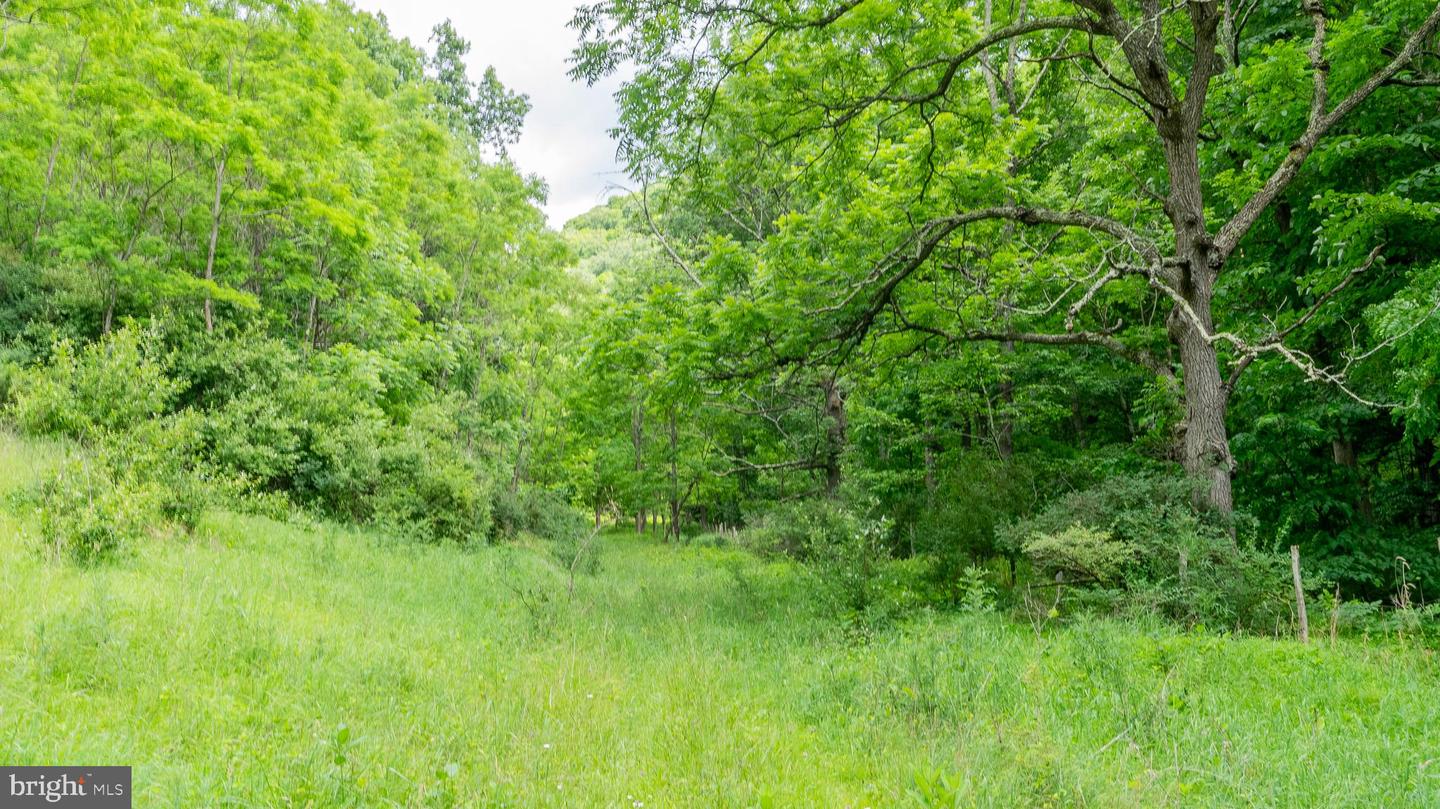 1862 Hawbush Road Property Photo 28