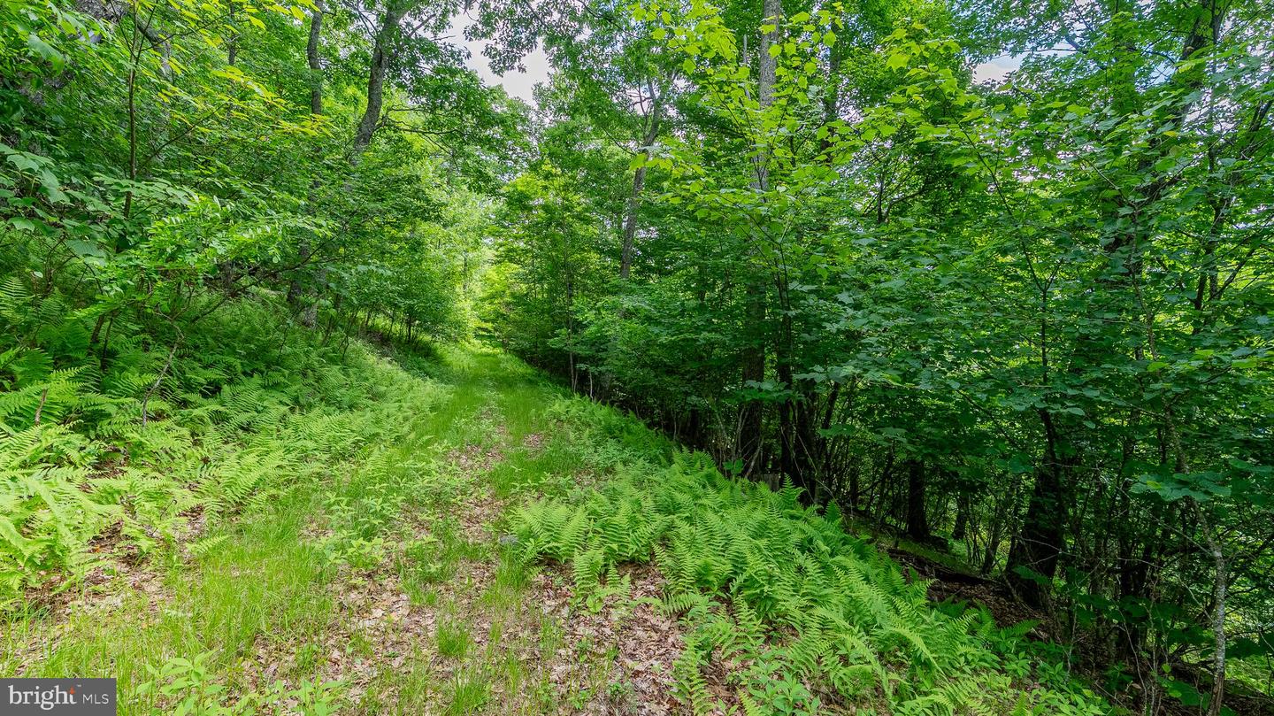 1862 Hawbush Road Property Photo 30