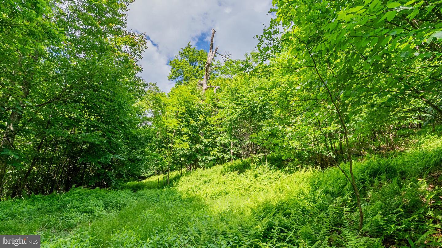 1862 Hawbush Road Property Photo 33