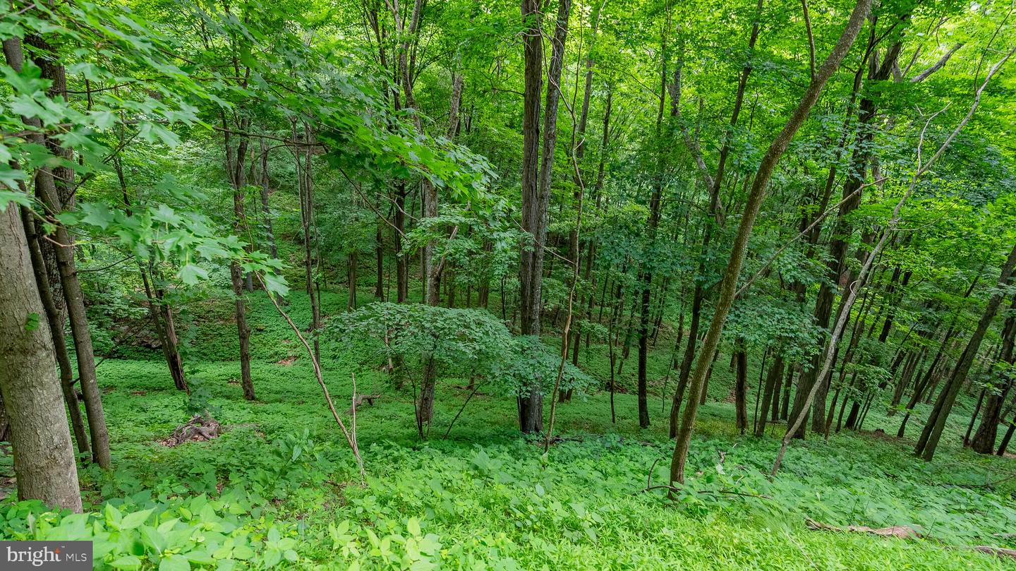 1862 Hawbush Road Property Photo 36
