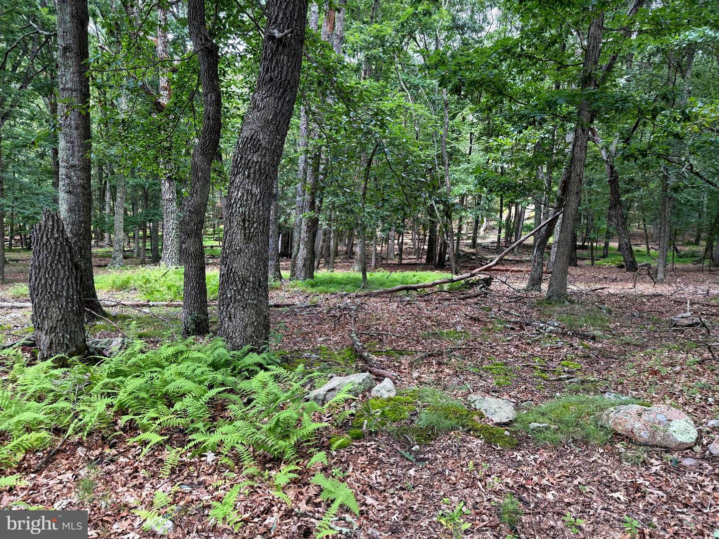 SUB PARCELS OF LT 27 & 28 BOONEDOCK DR
