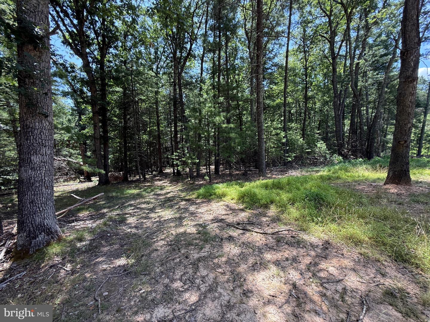 279 Waterline Dr Property Photo 51