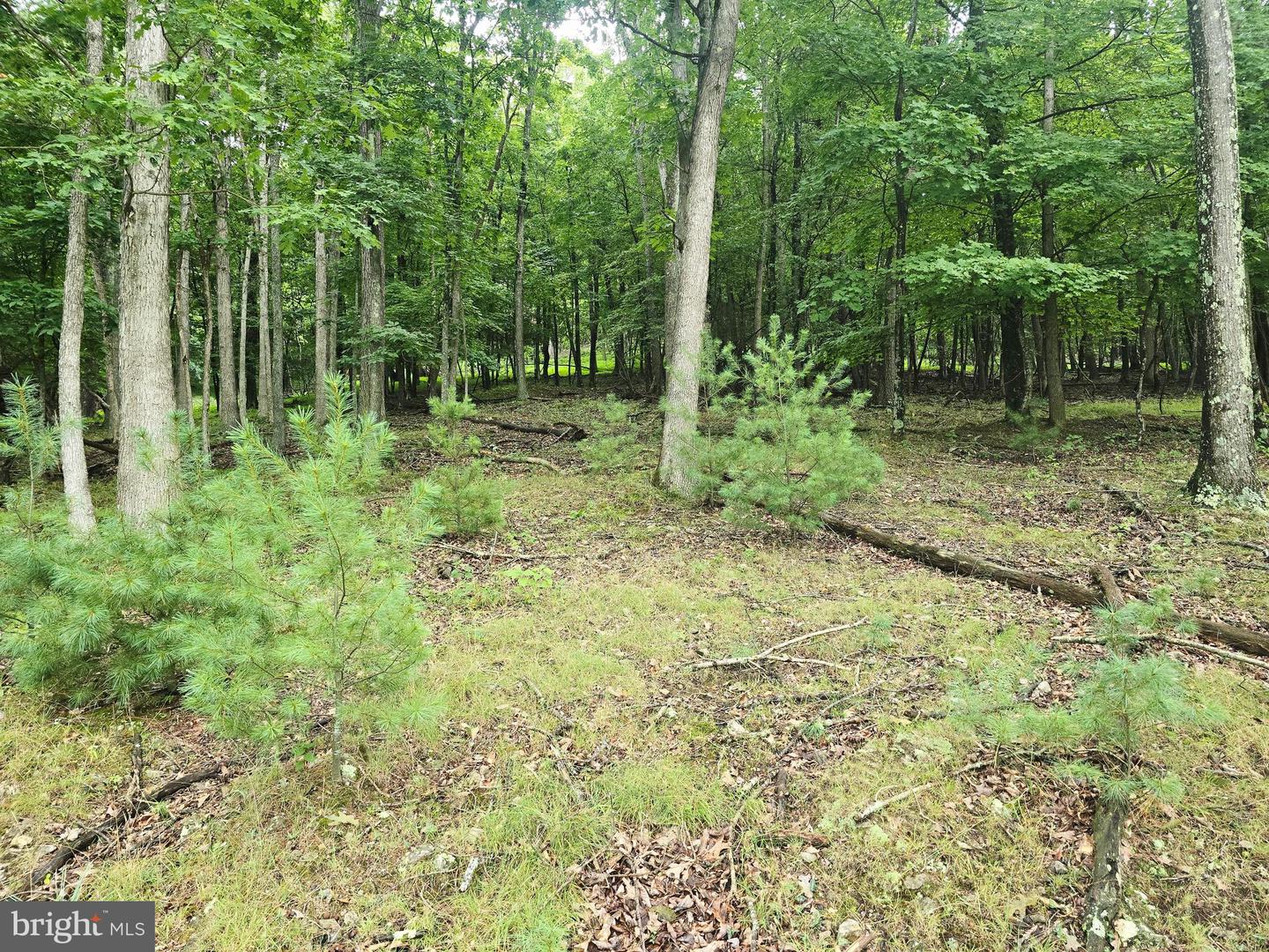 Lot 21 Fairway Ln Property Photo 1