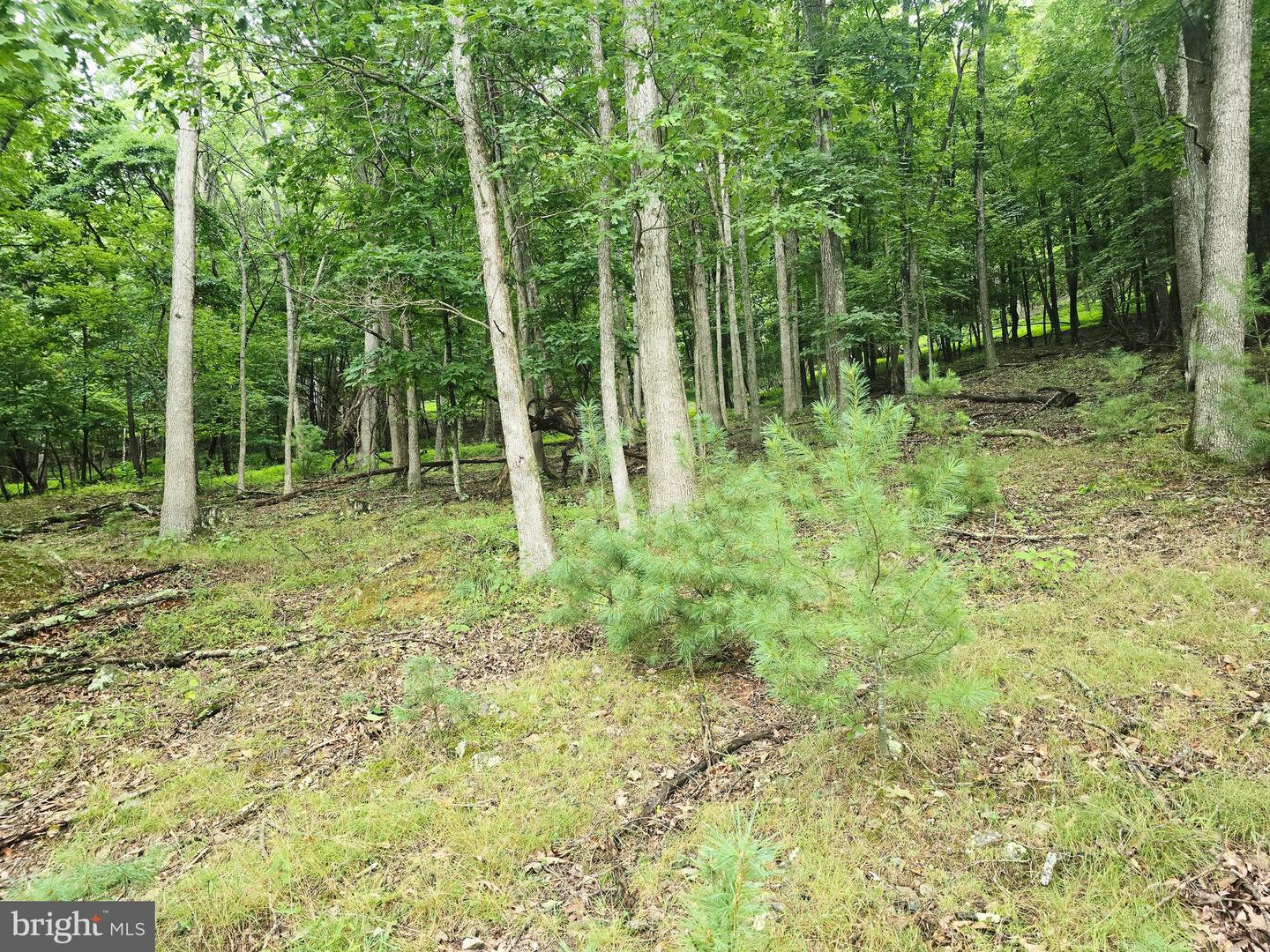 Lot 21 Fairway Ln Property Photo 2