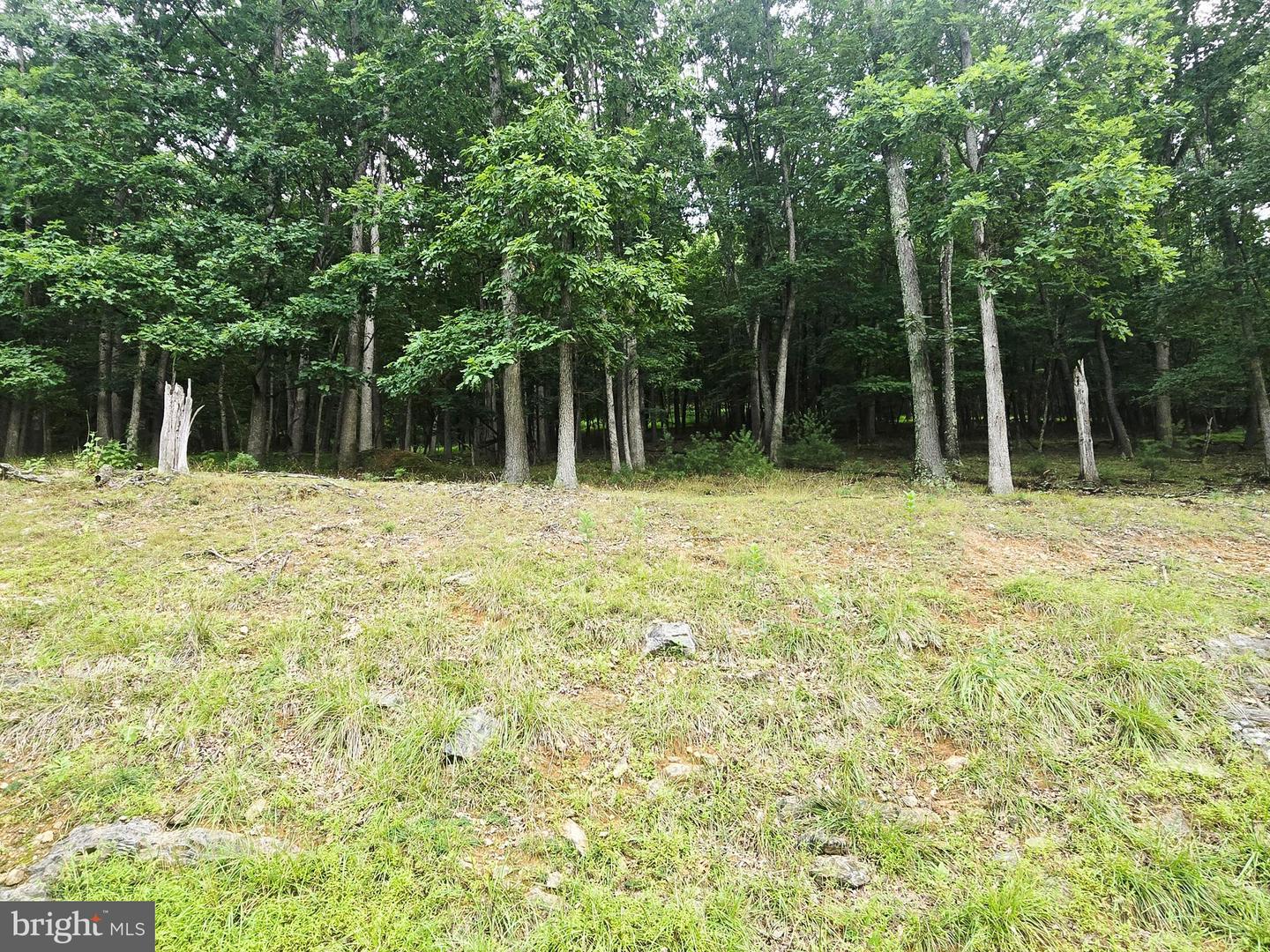 Lot 21 Fairway Ln Property Photo 3