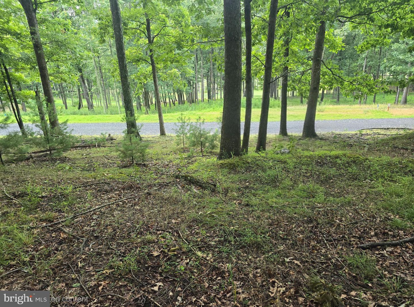 Lot 21 Fairway Ln Property Photo 4