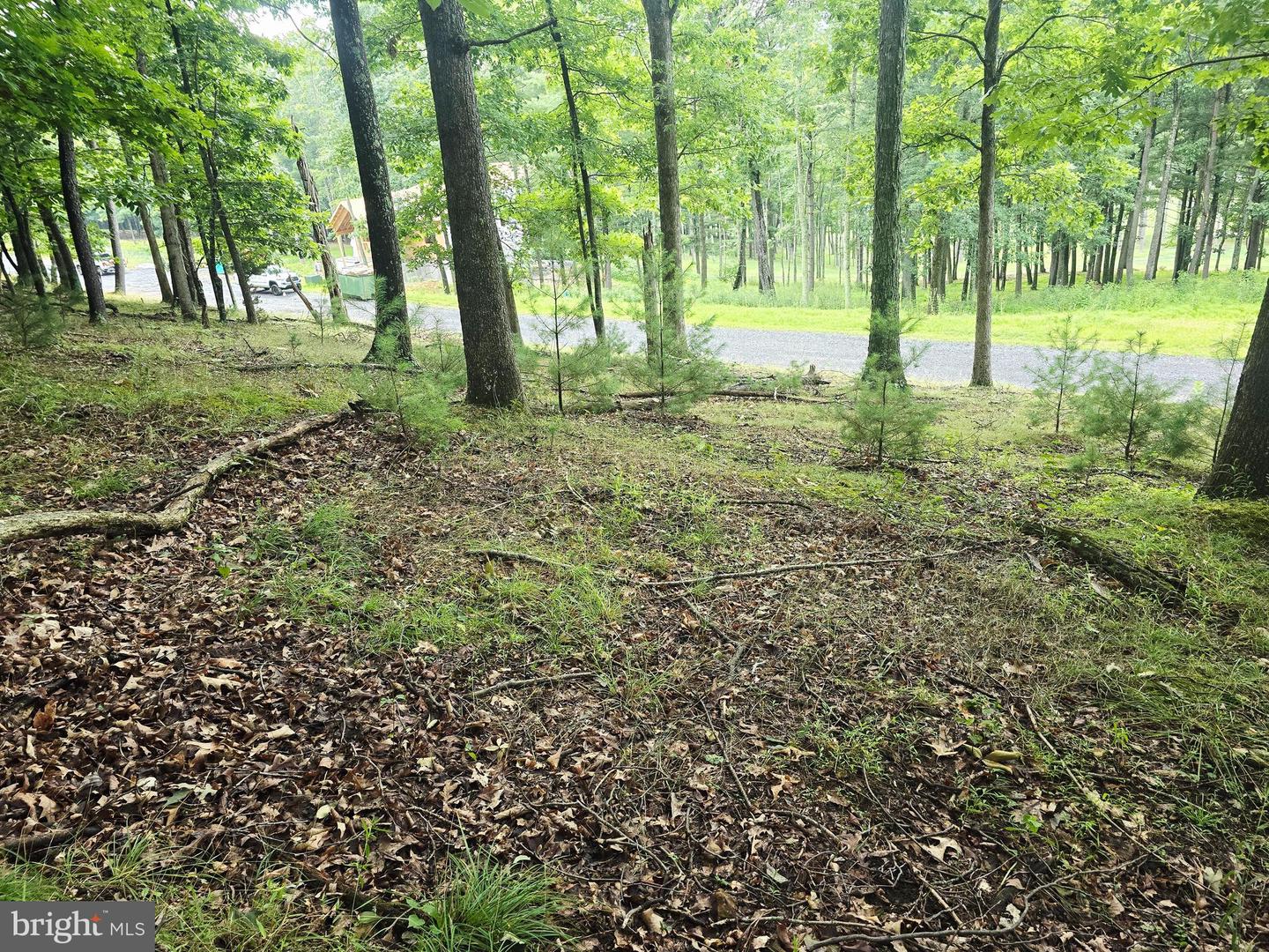 Lot 21 Fairway Ln Property Photo 5