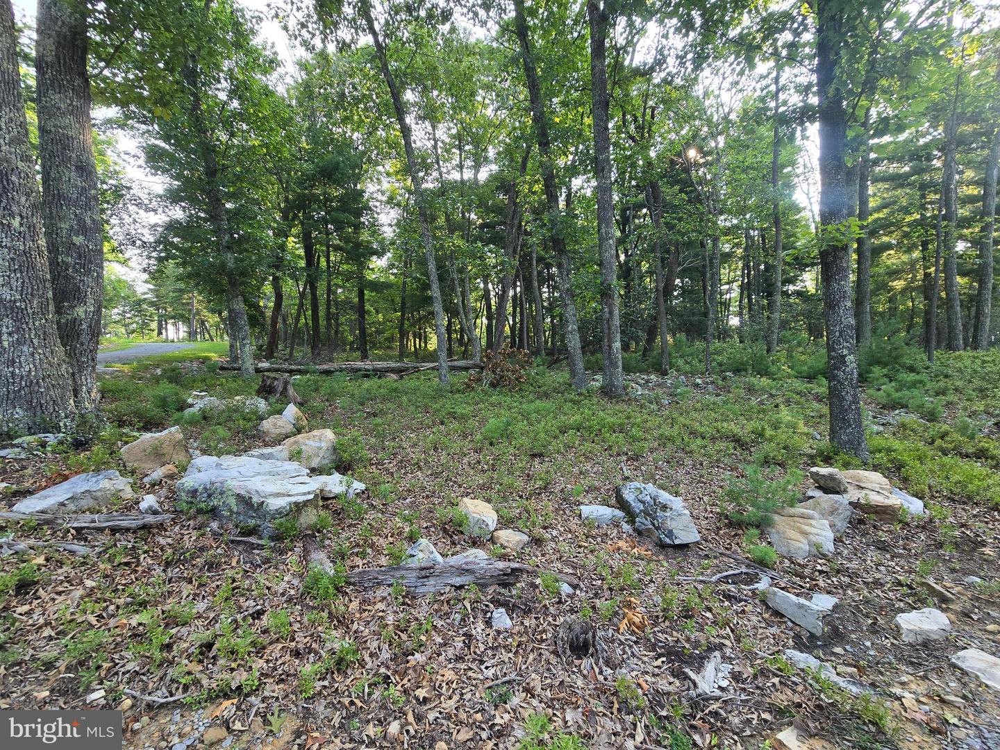 Lot # 9 Highland Ridge Property Photo 2