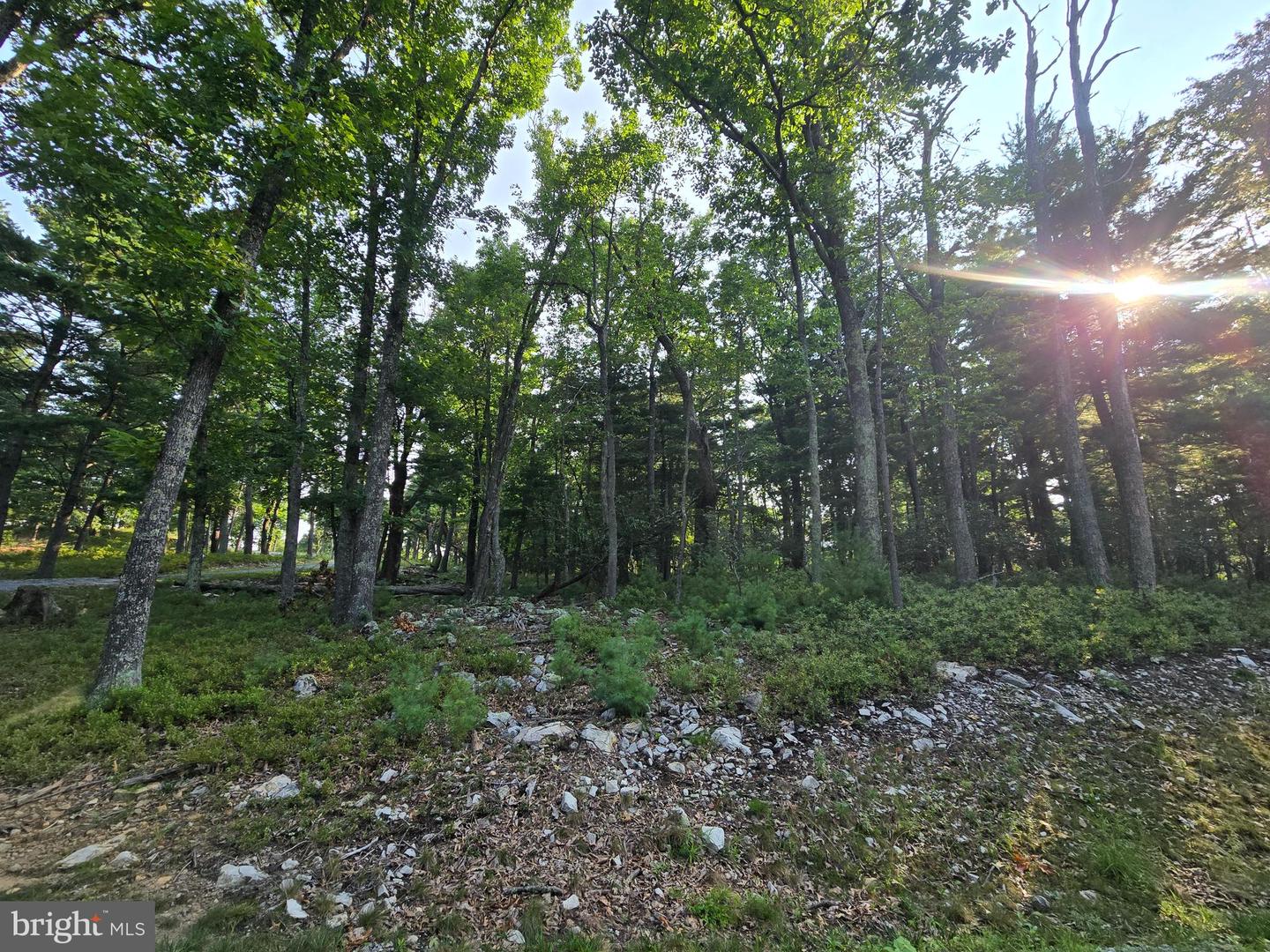 Lot # 9 Highland Ridge Property Photo 3