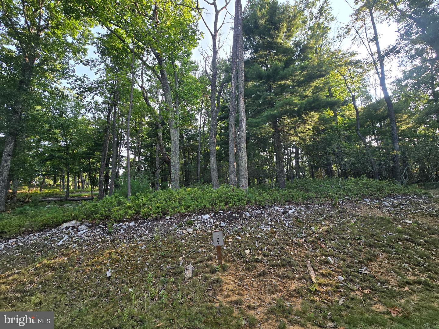 Lot # 9 Highland Ridge Property Photo 4