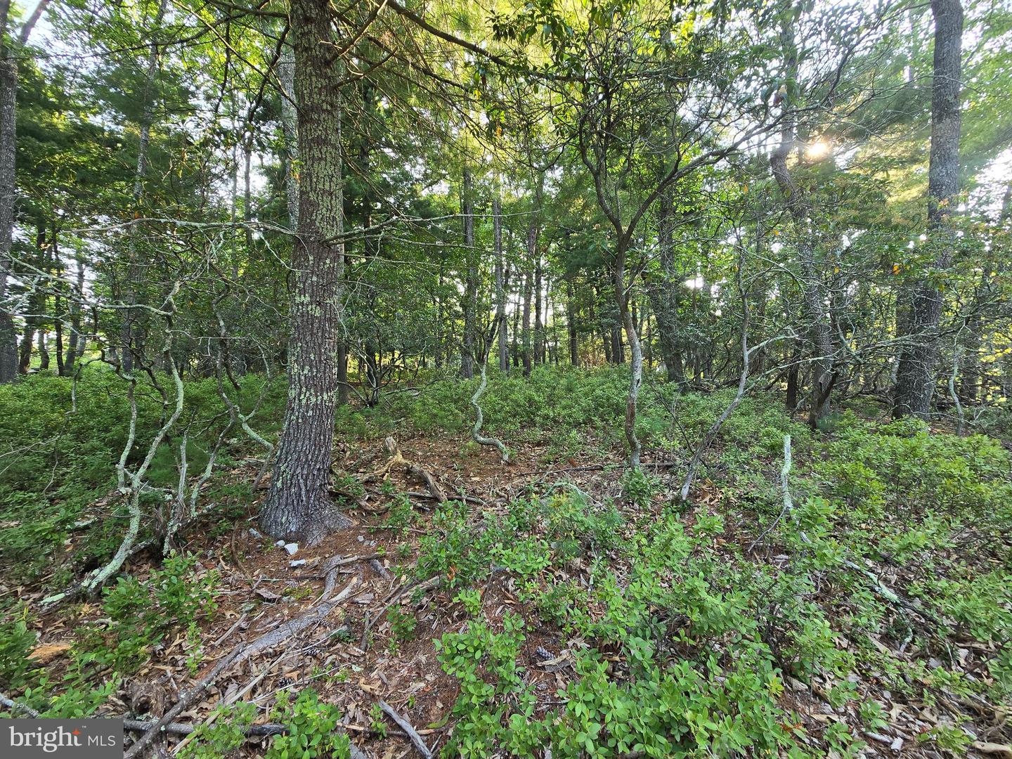 Lot # 9 Highland Ridge Property Photo 5