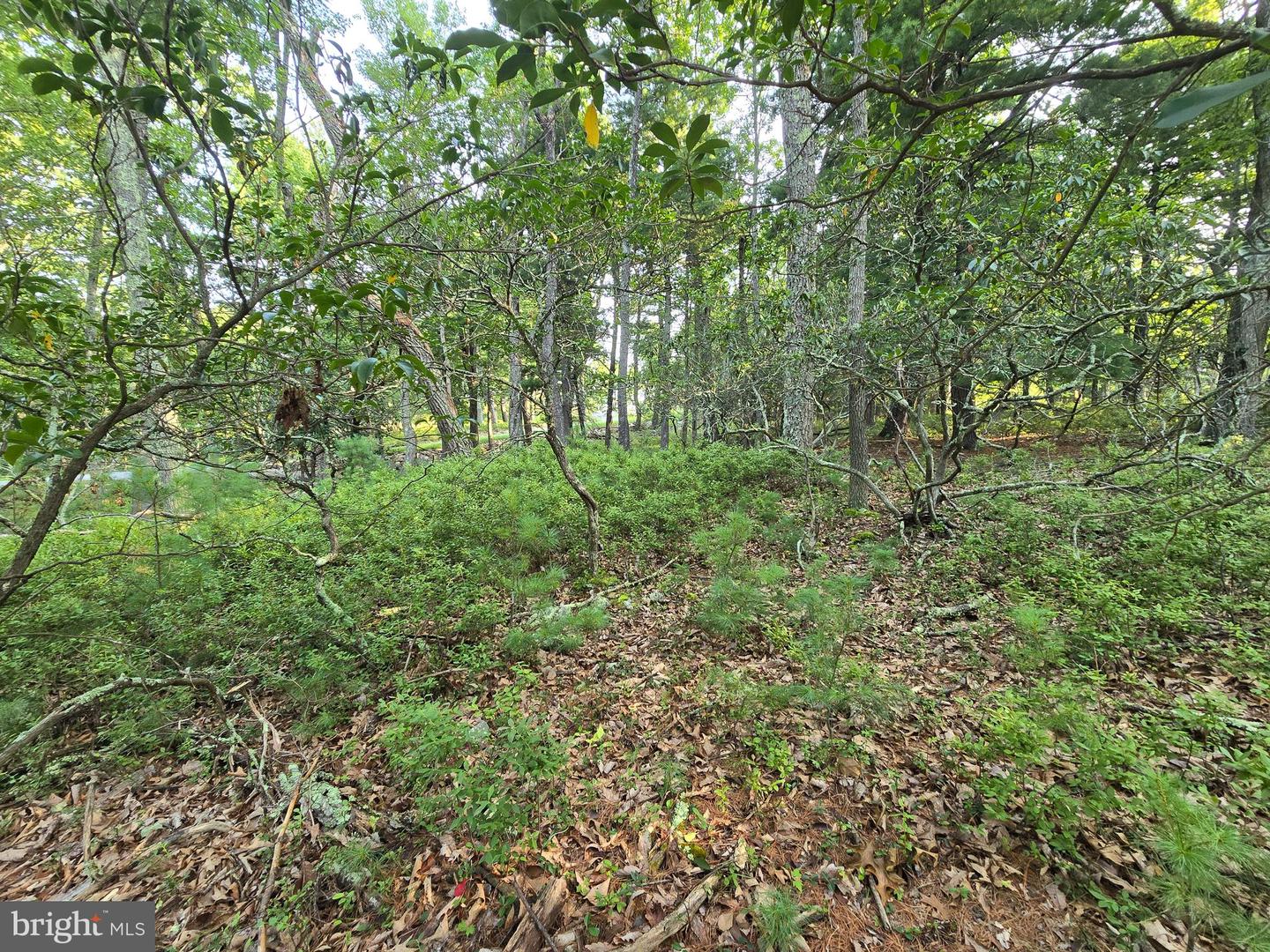 Lot # 9 Highland Ridge Property Photo 6