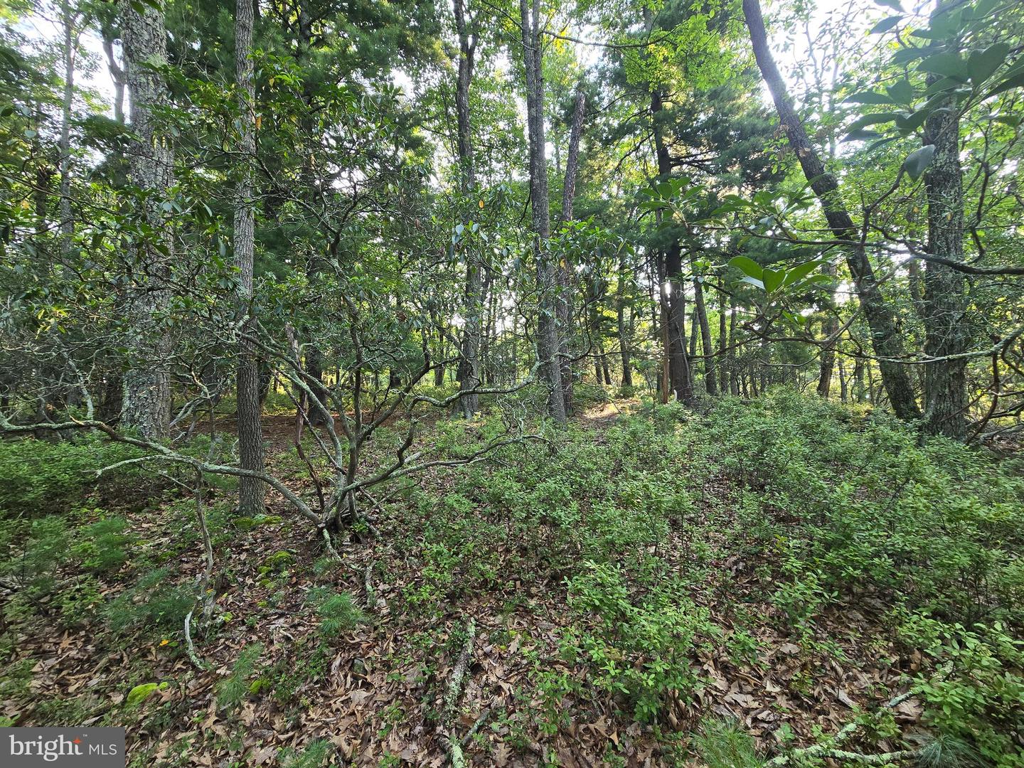 Lot # 9 Highland Ridge Property Photo 7
