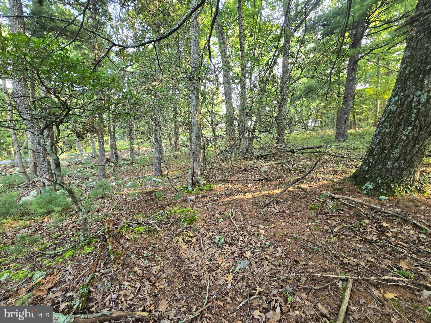 Lot # 9 Highland Ridge Property Photo 8