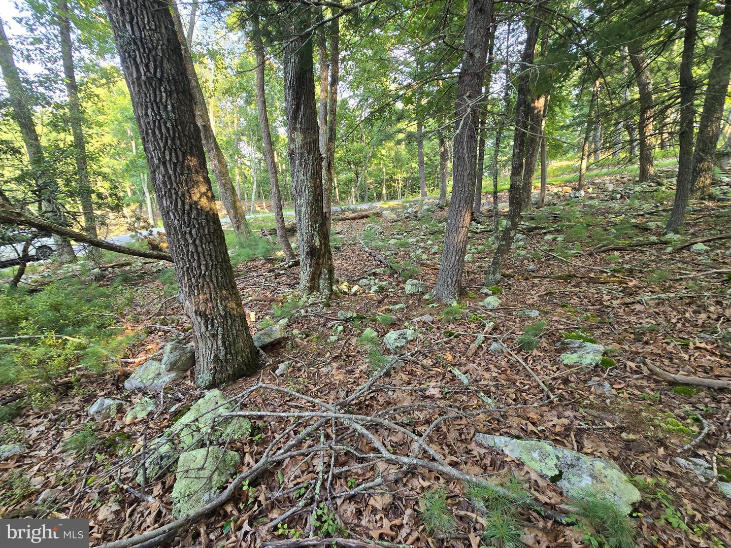Lot # 9 Highland Ridge Property Photo 9