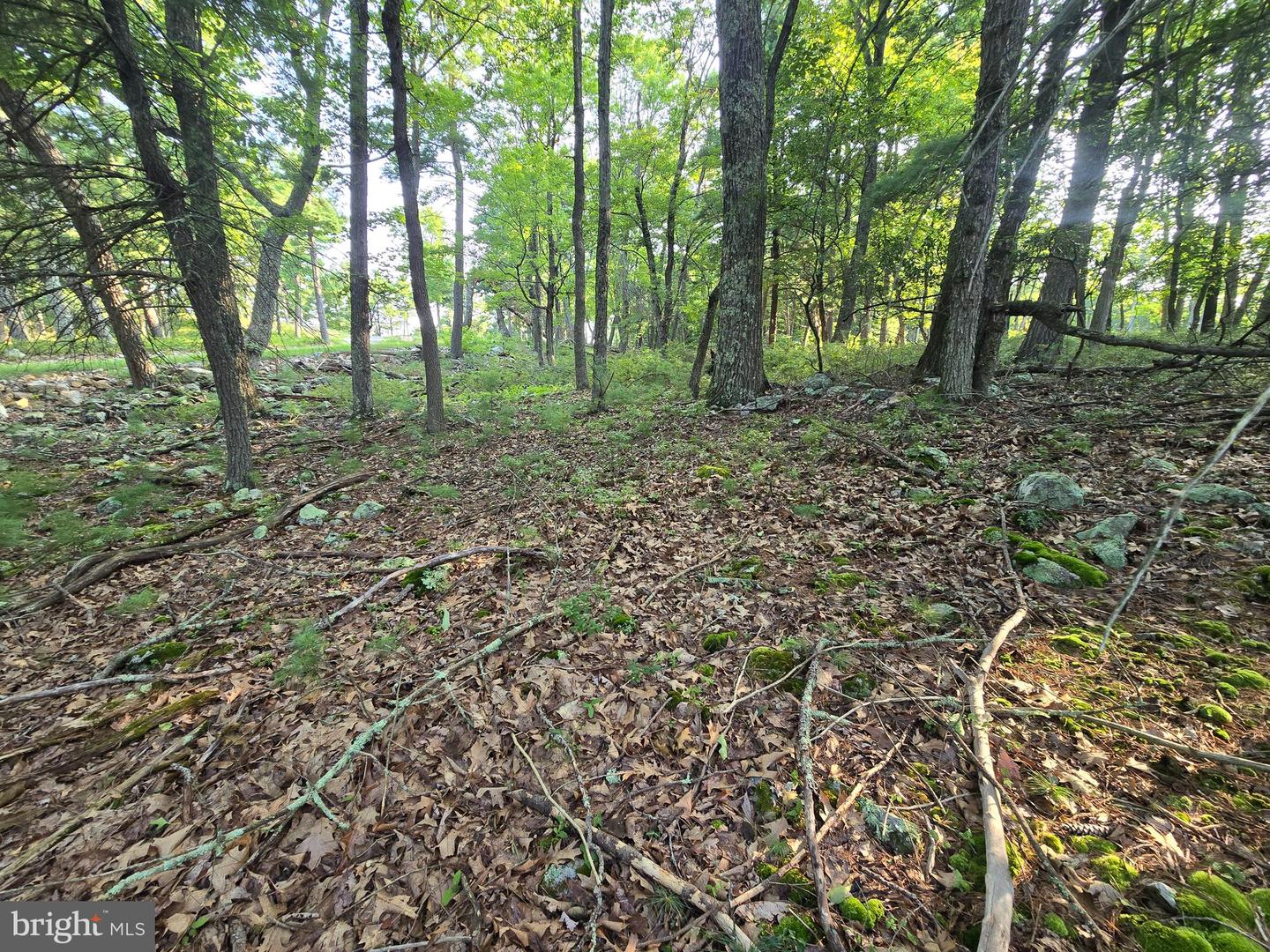 Lot # 9 Highland Ridge Property Photo 11
