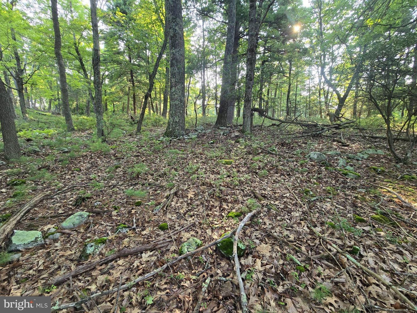 Lot # 9 Highland Ridge Property Photo 12