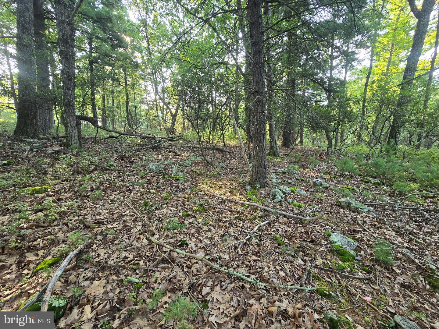 Lot # 9 Highland Ridge Property Photo 13