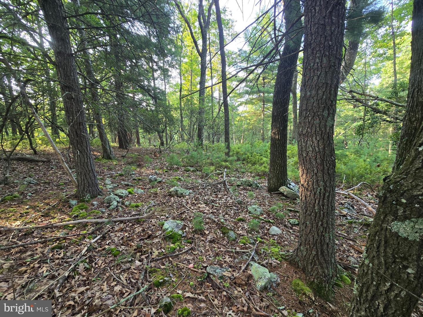 Lot # 9 Highland Ridge Property Photo 14