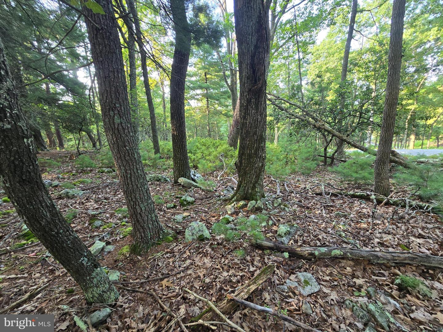 Lot # 9 Highland Ridge Property Photo 15