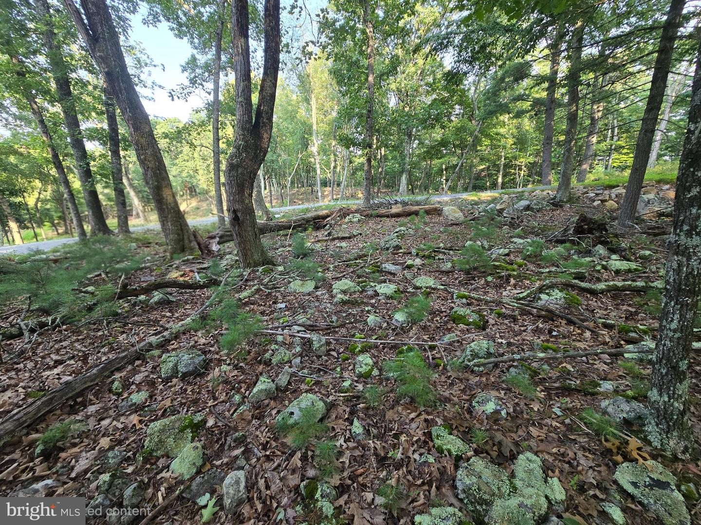 Lot # 9 Highland Ridge Property Photo 16