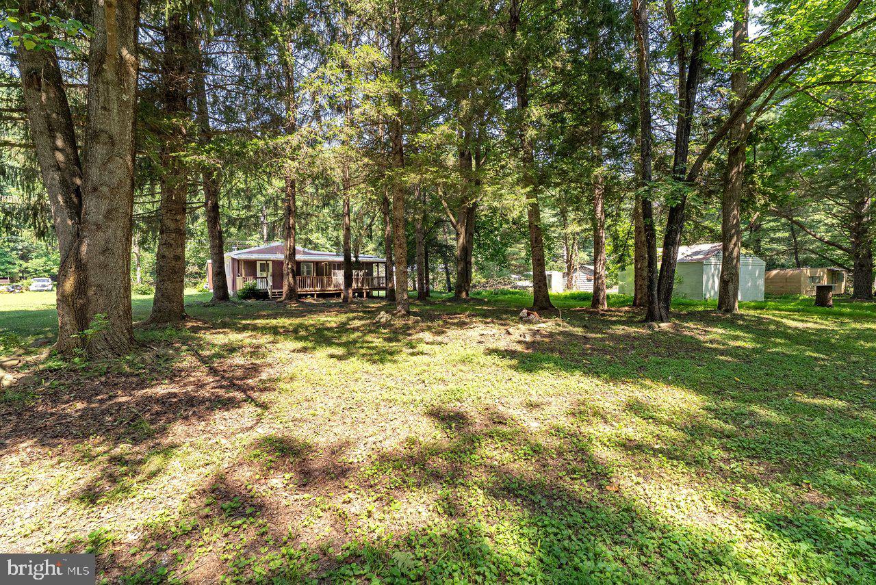 3368 Brushy Fork Rd Property Photo 42