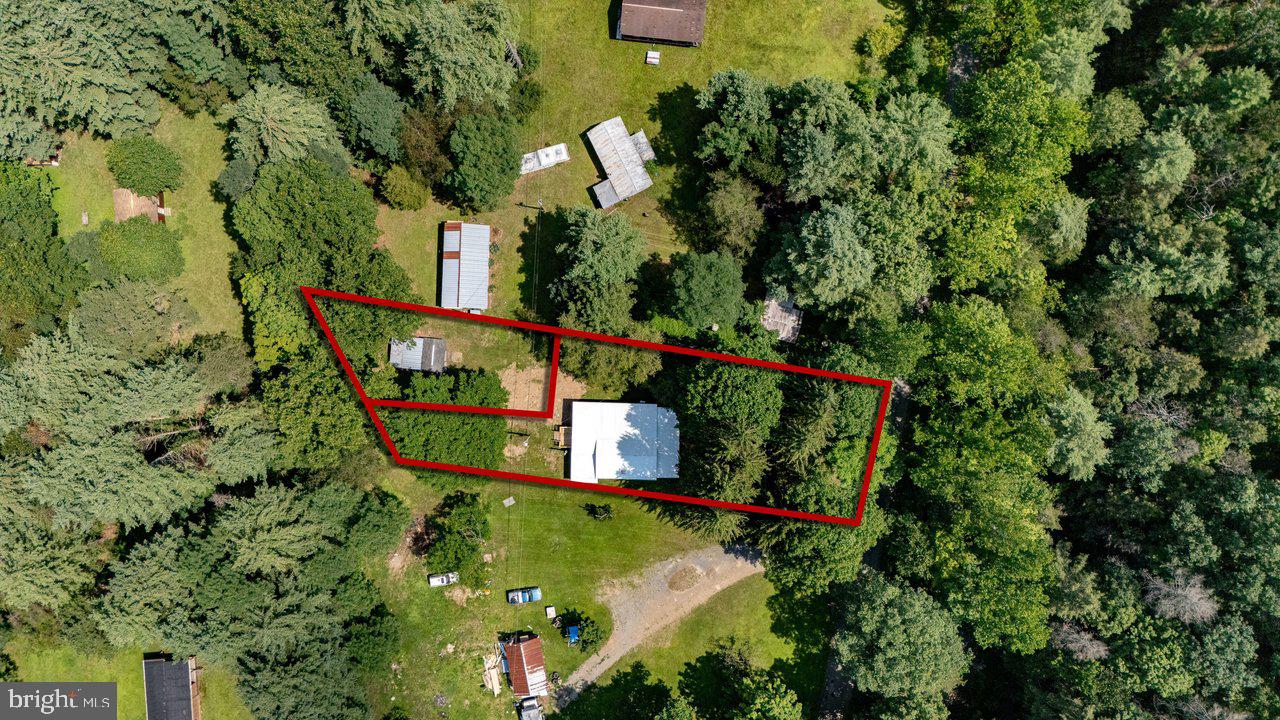 3368 Brushy Fork Rd Property Photo 49
