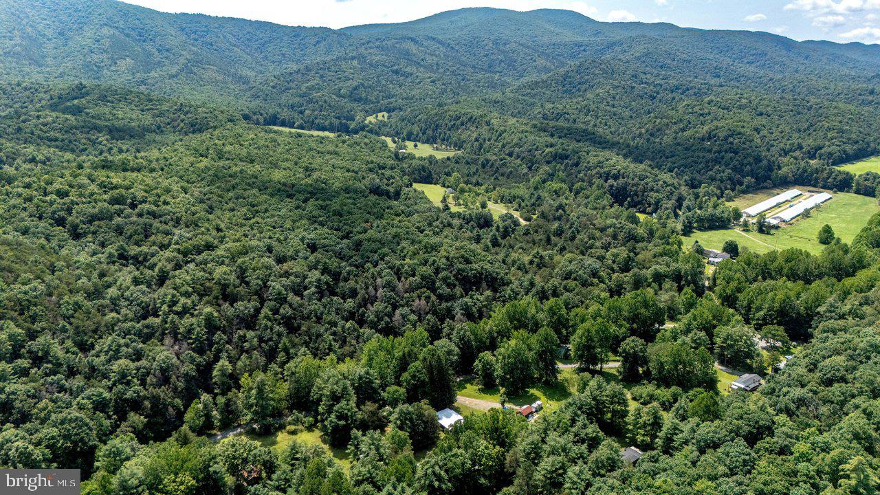3368 Brushy Fork Rd Property Photo 55
