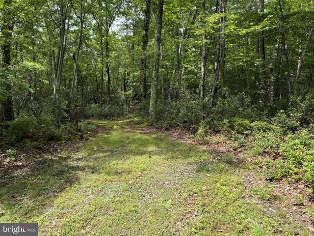 69 Sky Dr Property Photo 20