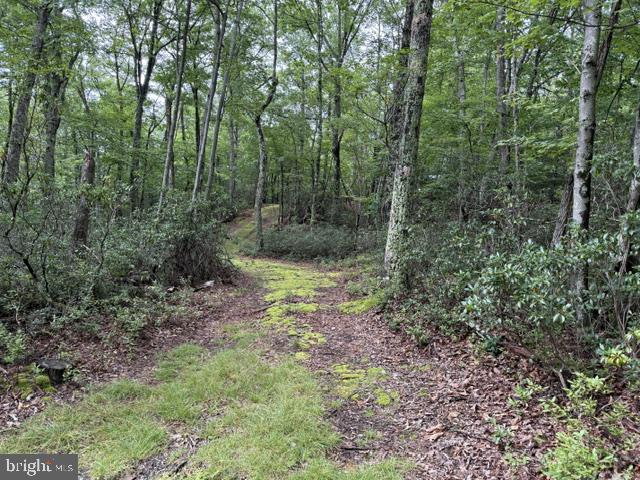 69 Sky Dr Property Photo 21