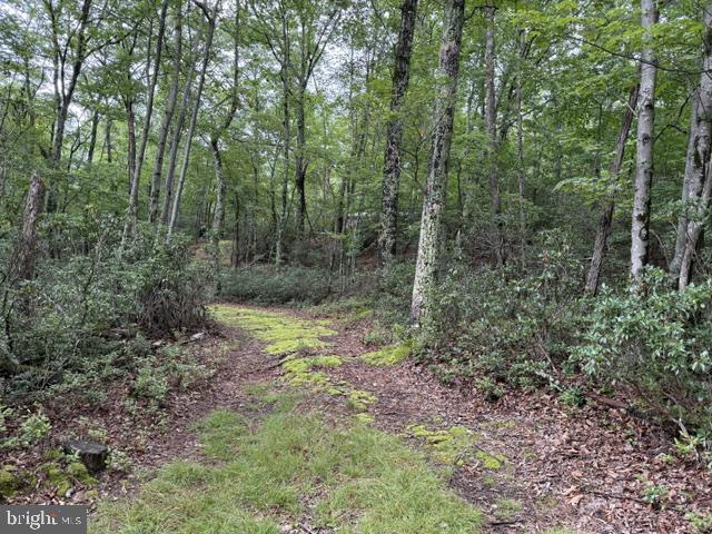 69 Sky Dr Property Photo 22