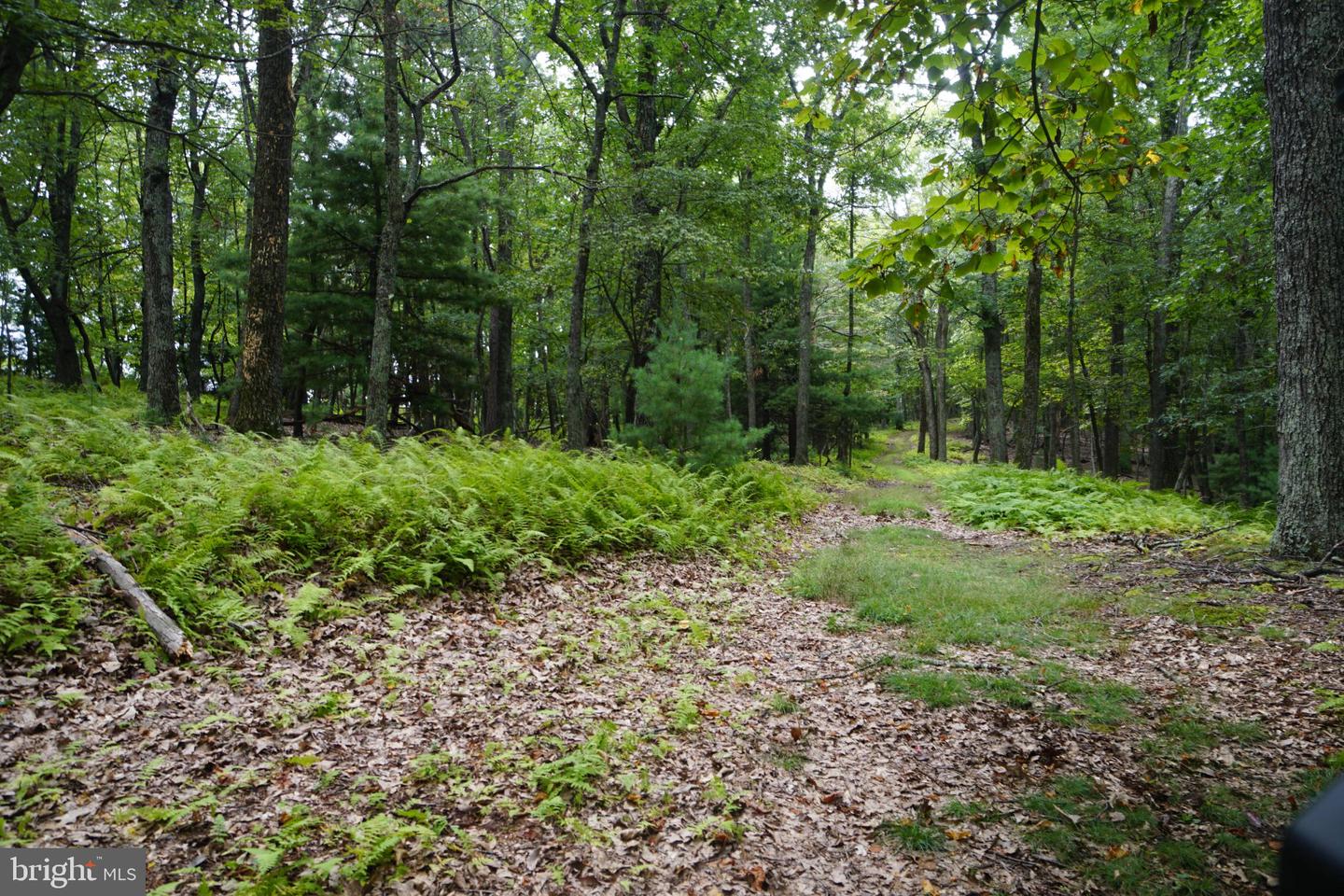 242 Newman Ln Property Photo 34