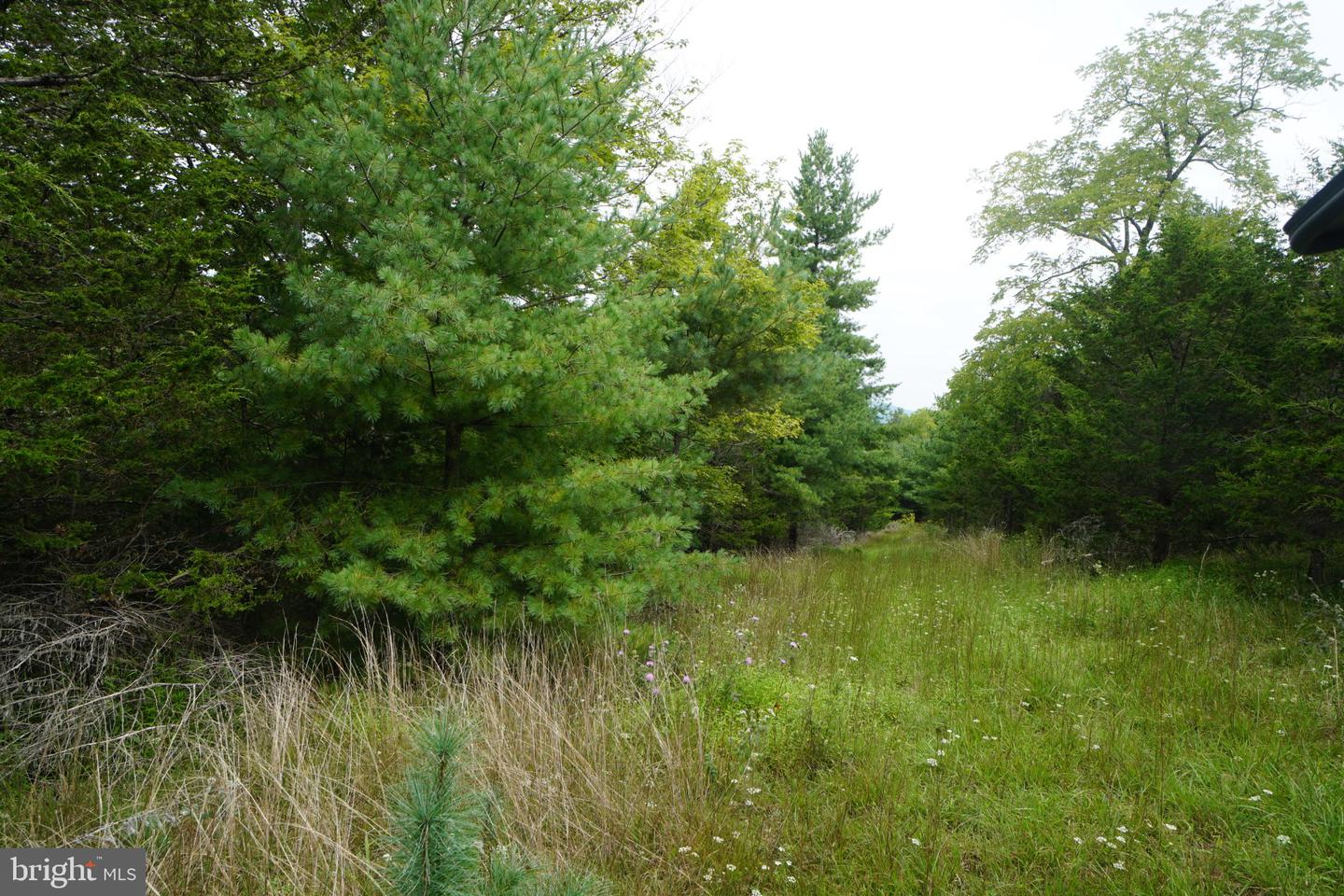 242 Newman Ln Property Photo 37