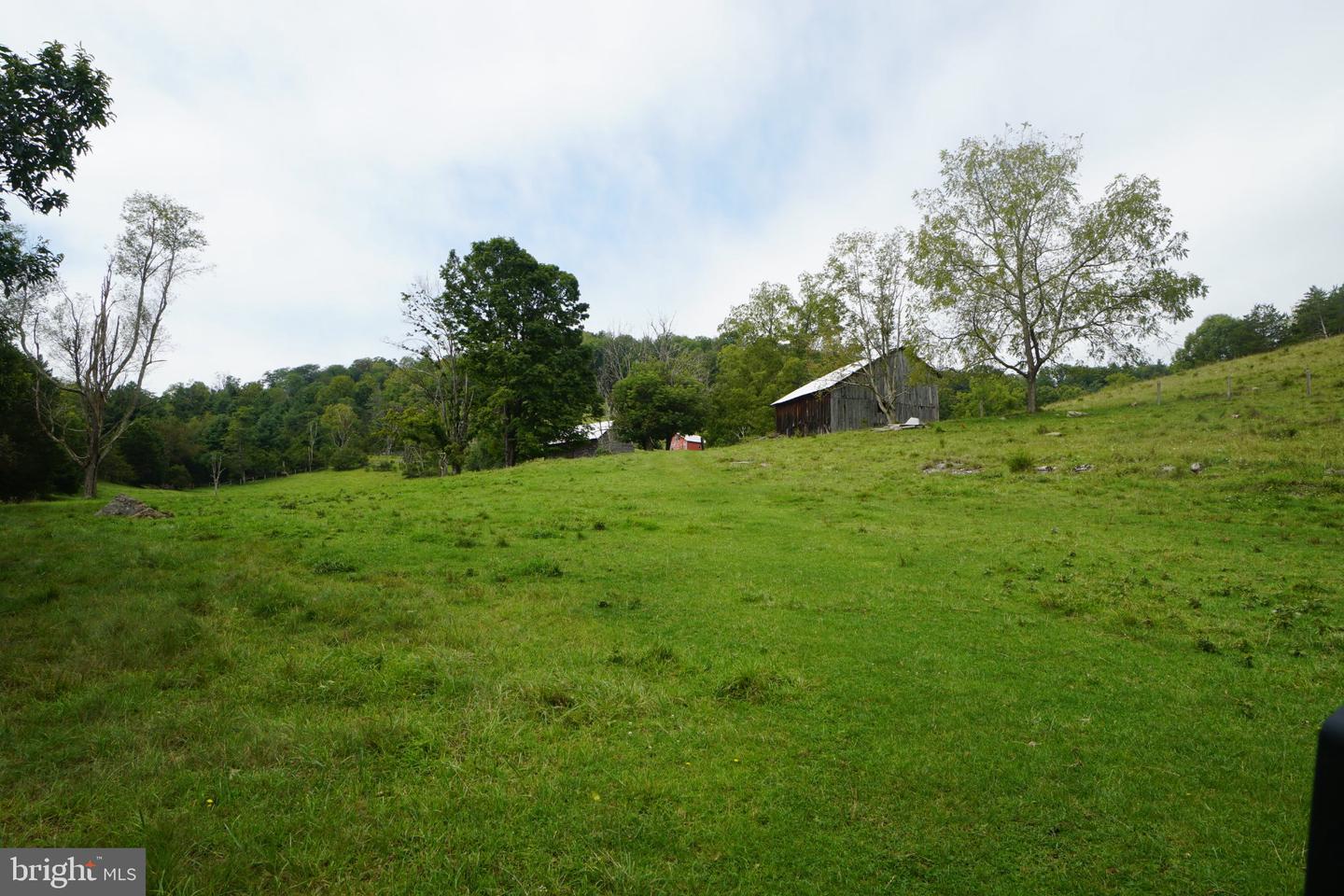 242 Newman Ln Property Photo 39