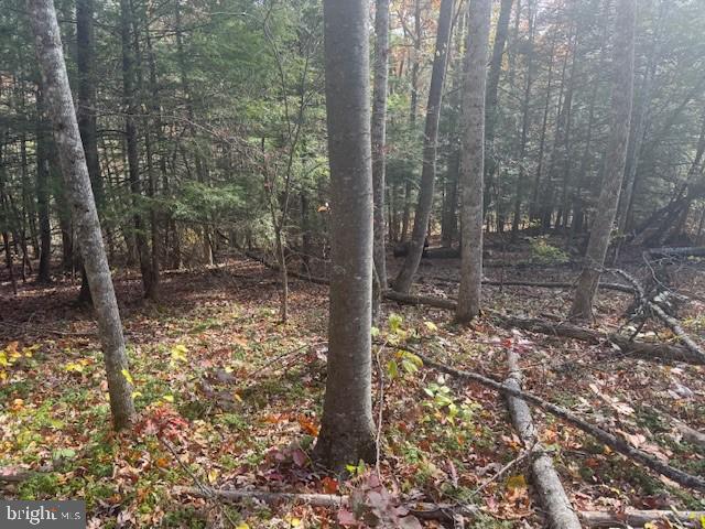 Tbd Adolph Road Property Photo 4