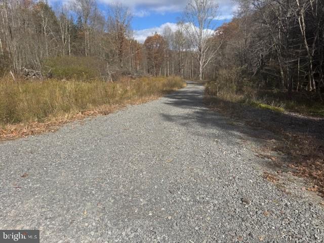 Tbd Adolph Road Property Photo 5
