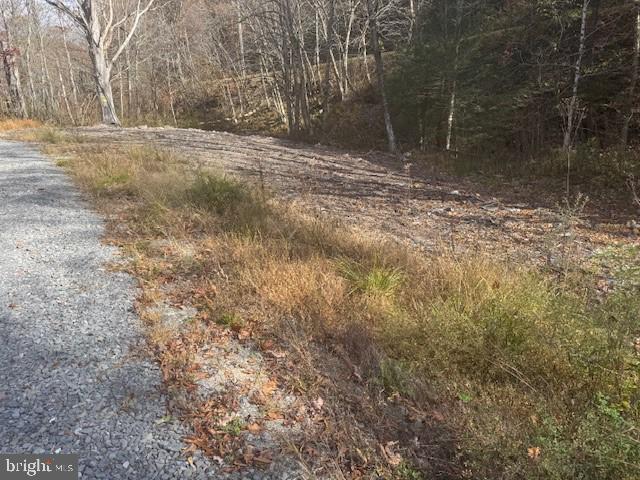 Tbd Adolph Road Property Photo 7