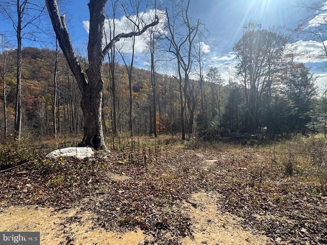 Tbd Adolph Road Property Photo 11