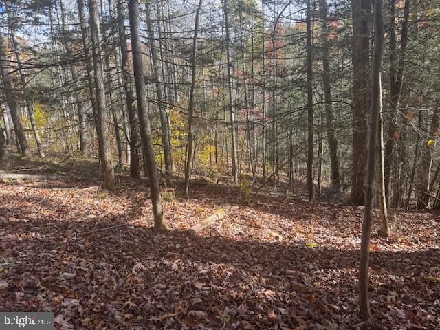 Tbd Adolph Road Property Photo 14