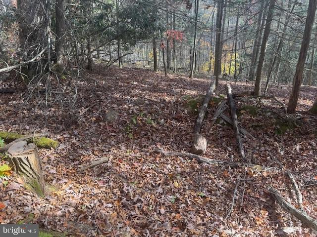 Tbd Adolph Road Property Photo 15