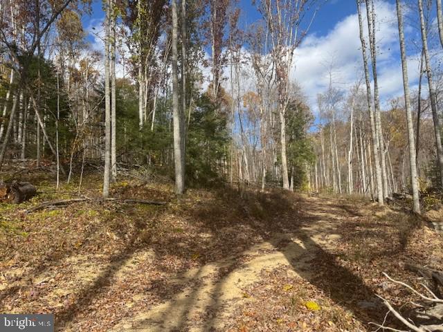 Tbd Adolph Road Property Photo 16